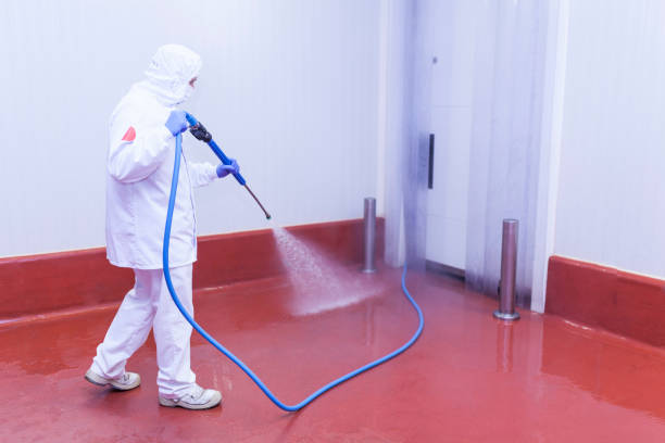 Best Building Exterior Pressure Washing in French Island, WI