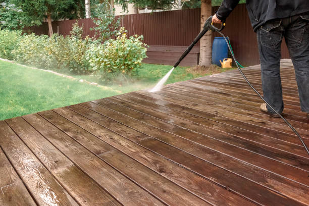 Best Roof Cleaning and Mildew Removal in French Island, WI