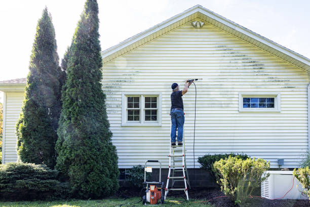 Best Gutter Cleaning and Brightening in French Island, WI