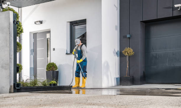 Best Vinyl Siding Pressure Washing in French Island, WI